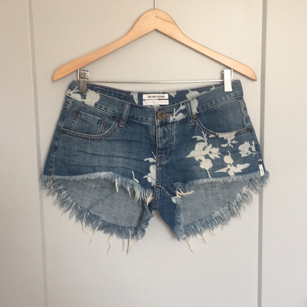One Teaspoon Bonitas Low Waist Shorts Size 4